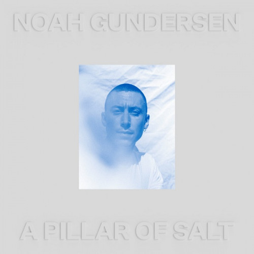 Noah Gundersen - A Pillar Of Salt (2021) скачать торрент