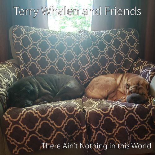 The Terry Whalen Band - Terry Whalen and Friends_ There Ain't Nothing in this Wo (2021)