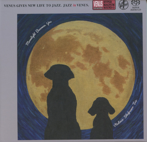 Vladimir Shafranov Trio - Moonlight Becomes You (2021) скачать торрент