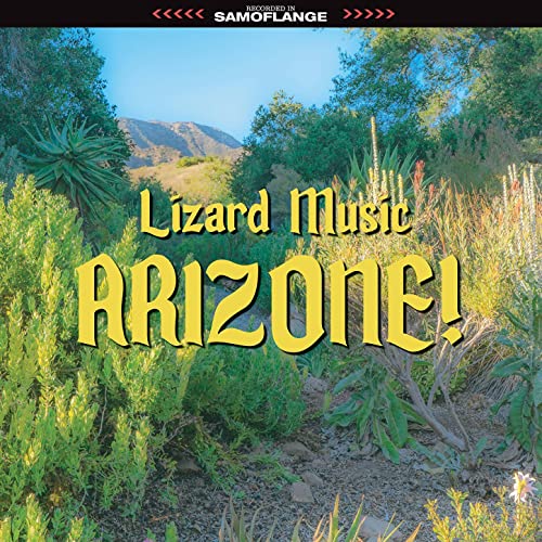 Lizard Music - Arizone! (2021) скачать торрент