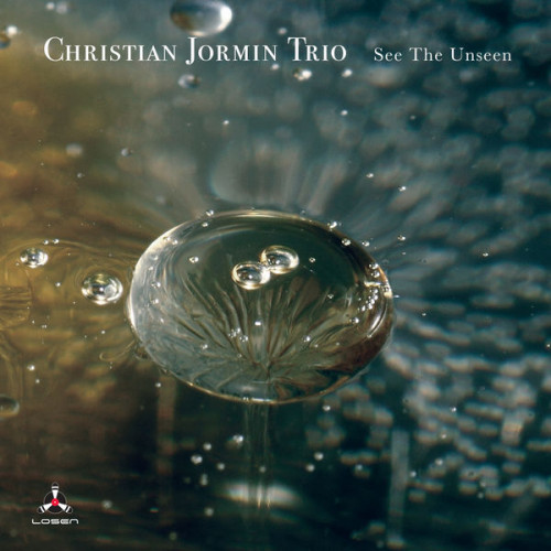 Christian Jormin Trio - See the Unseen (2021)