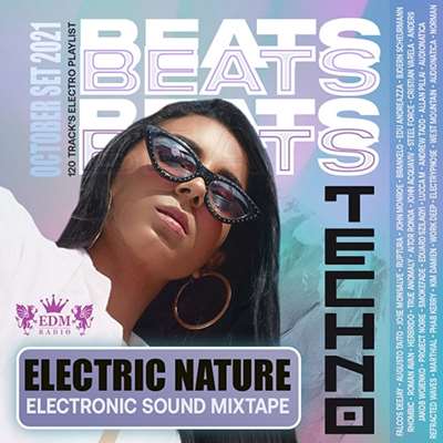 Techno Beats: Electronic Mixtape (2021) скачать торрент