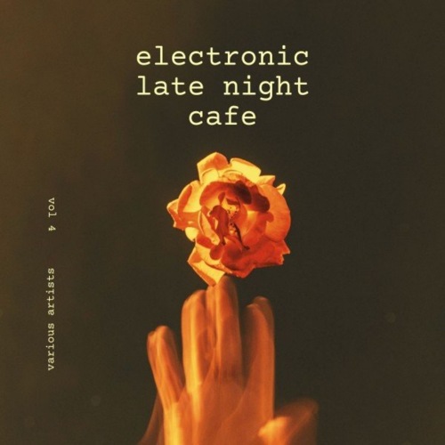 Electronic Late Night Cafe, Vol. 1-4 (2021) скачать торрент