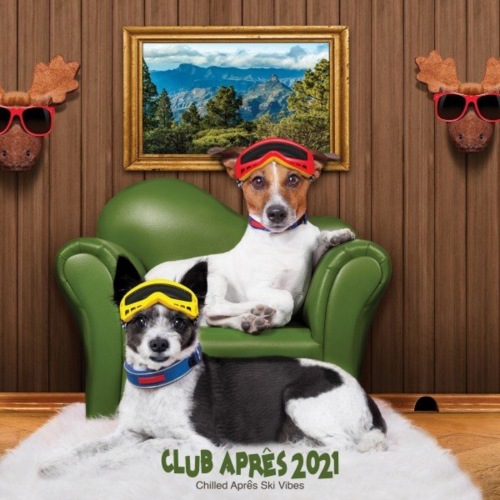 Club Aprês 2021: Chilled Aprês Ski Vibes (Club Apres 2021: Chilled Apres Ski Vibes) (2021)