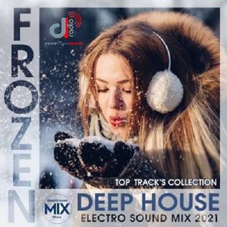 VA - Frozen Deep House (2021) MP3