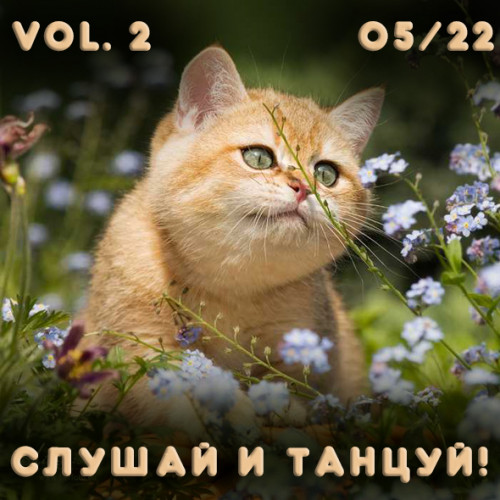 Сборник - Слушай и Танцуй! vol.2 Новая танцевальная музыка с разных сайтов (2022) MP3 скачать торрент