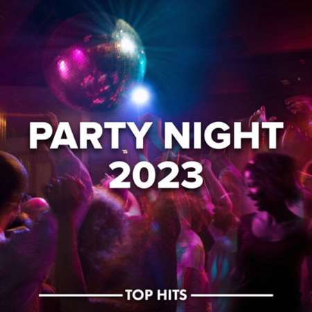 VA - Party Night (2023) MP3